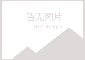 湖北夏岚能源有限公司